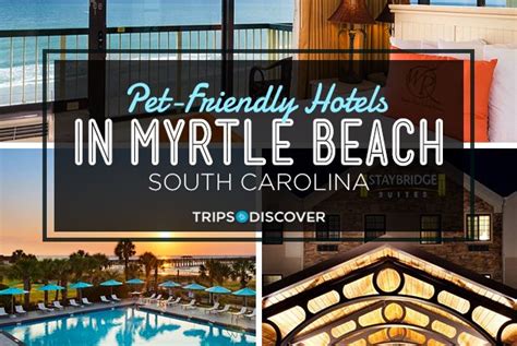 pet friendly hotels cherry grove sc|bring fido north myrtle beach.